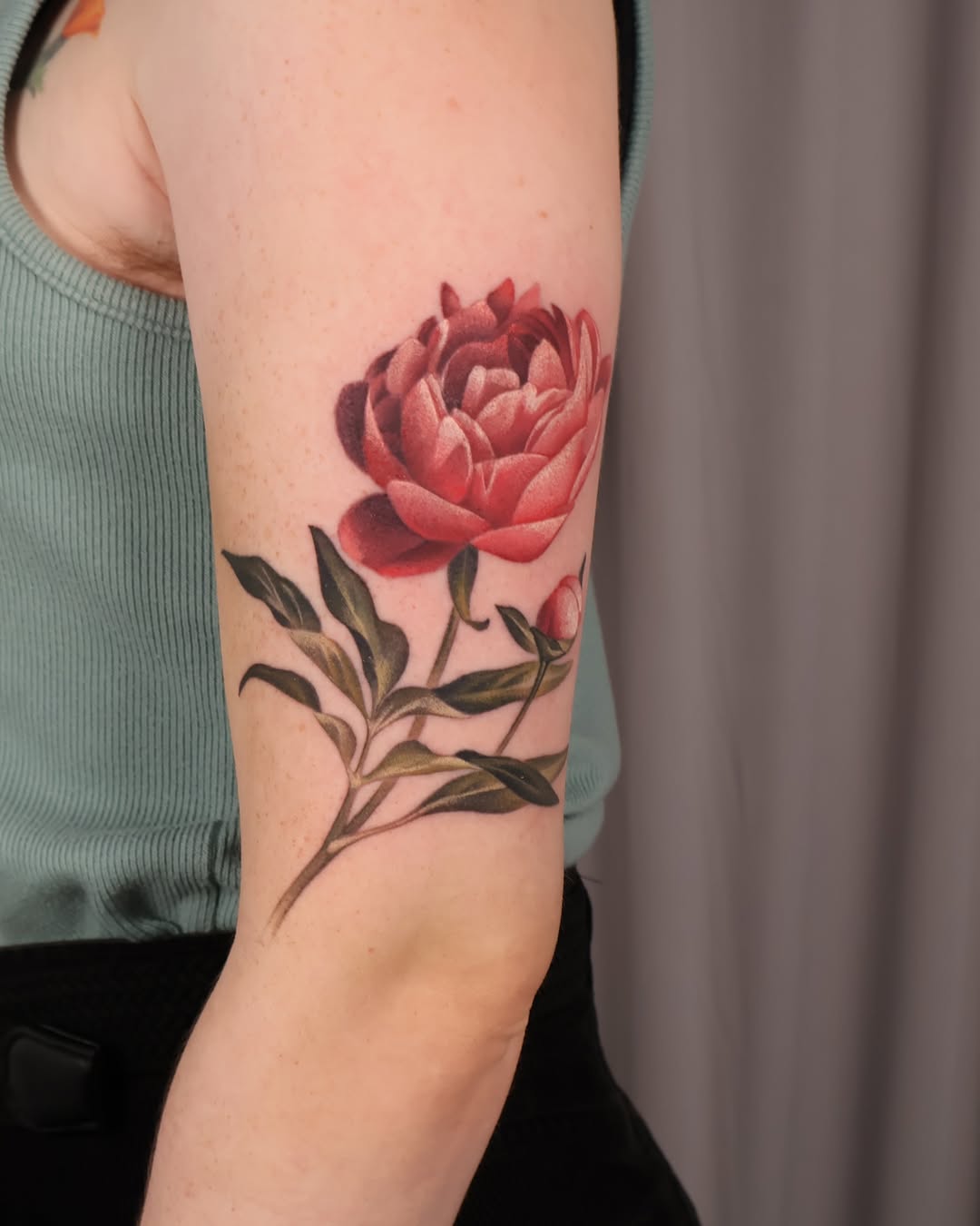 Nature, Rose, Flower