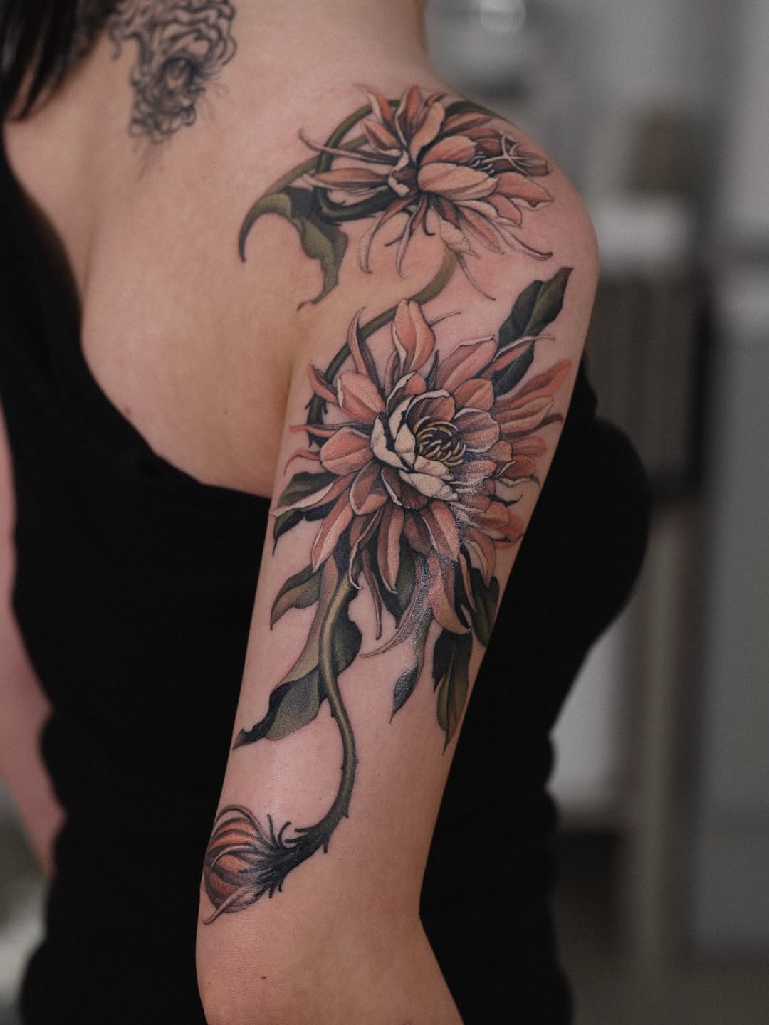 Flower, Rose, Nature