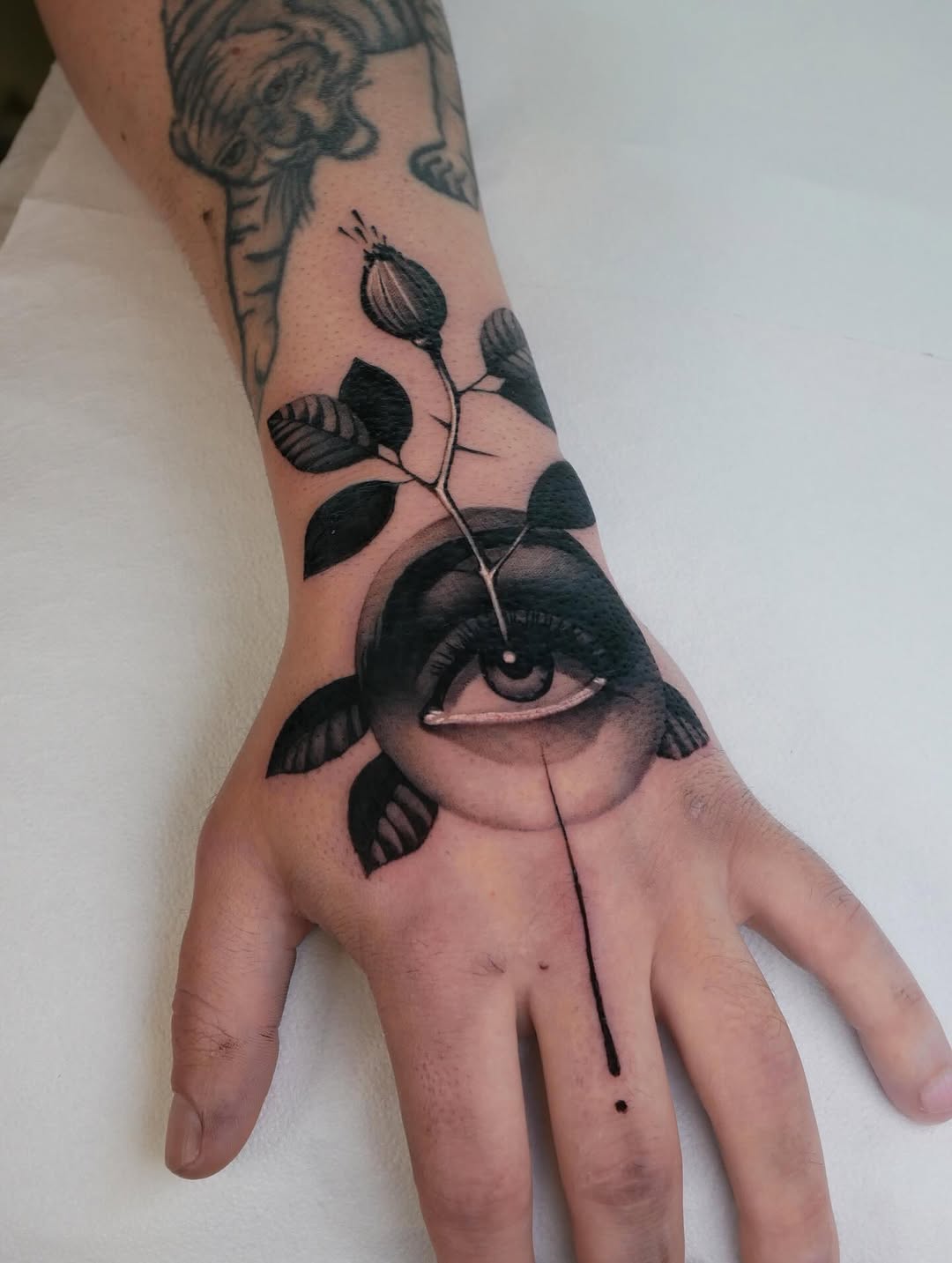 거미, Animal