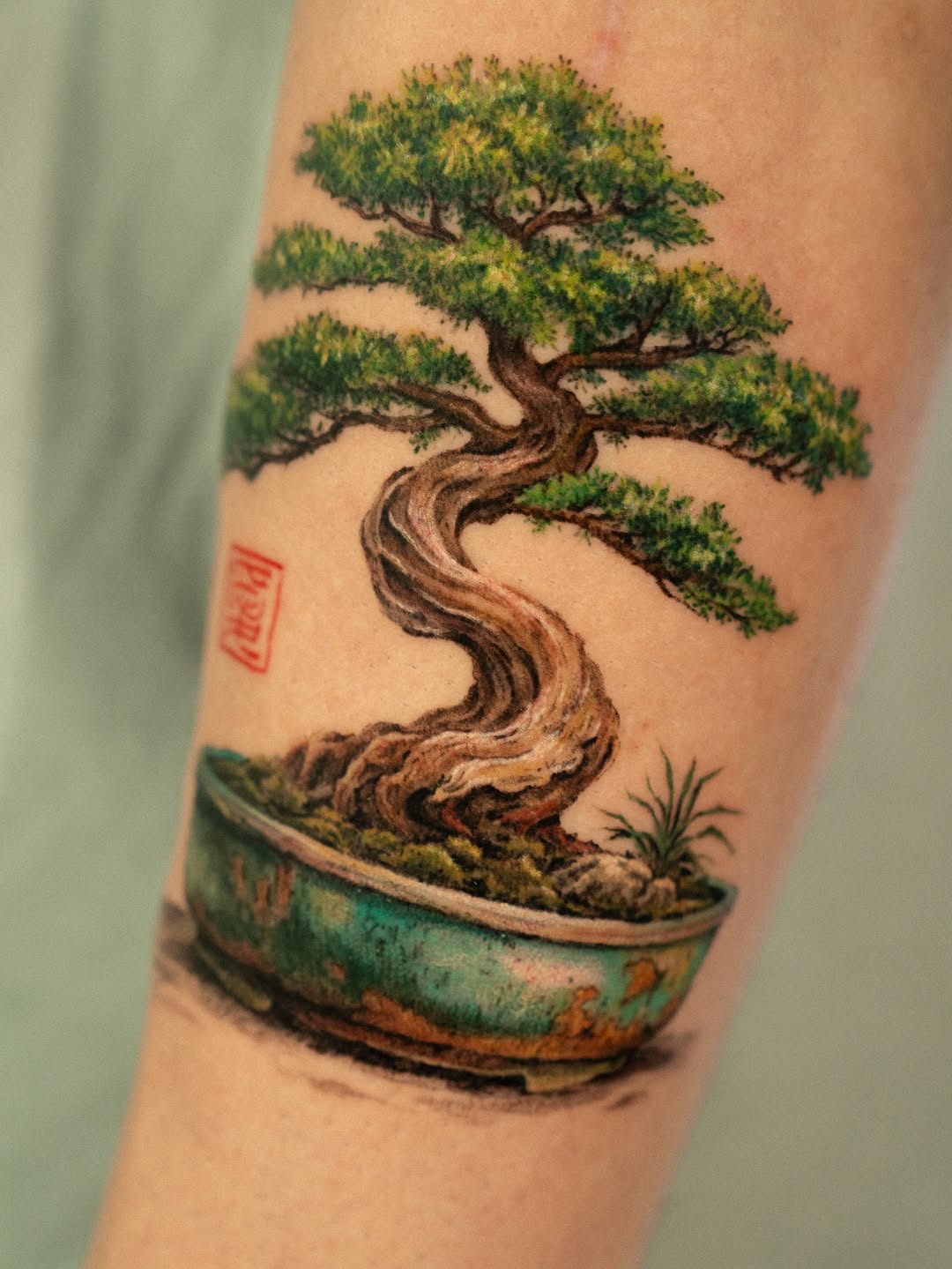 Nature, 나무