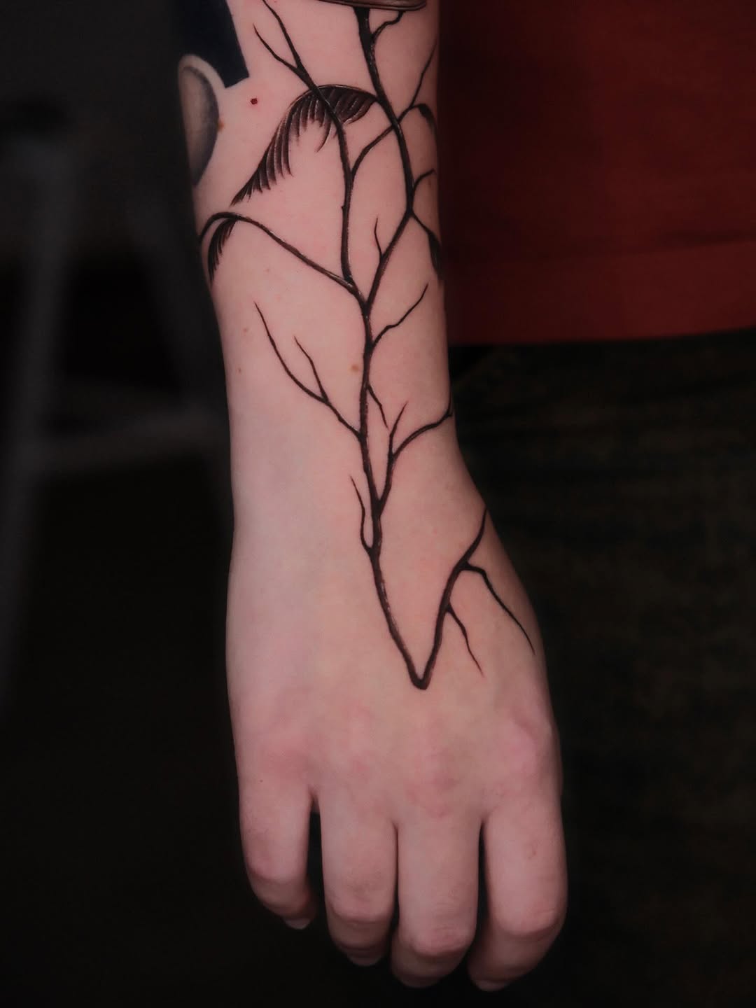 Animal, Nature