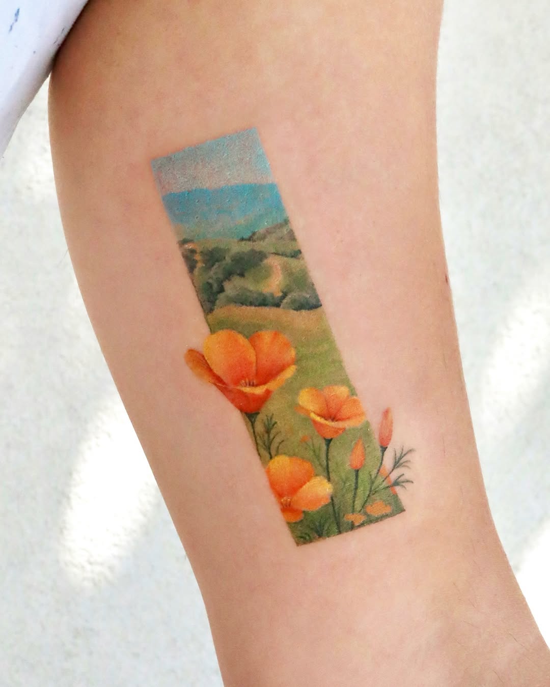 Flower, Nature