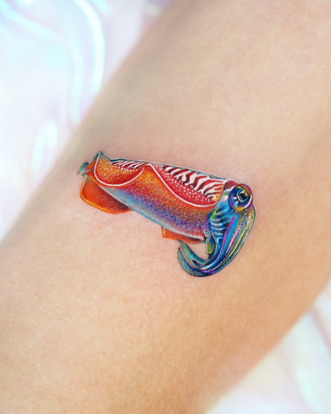 Animal, 문어, 오징어, 크라켄