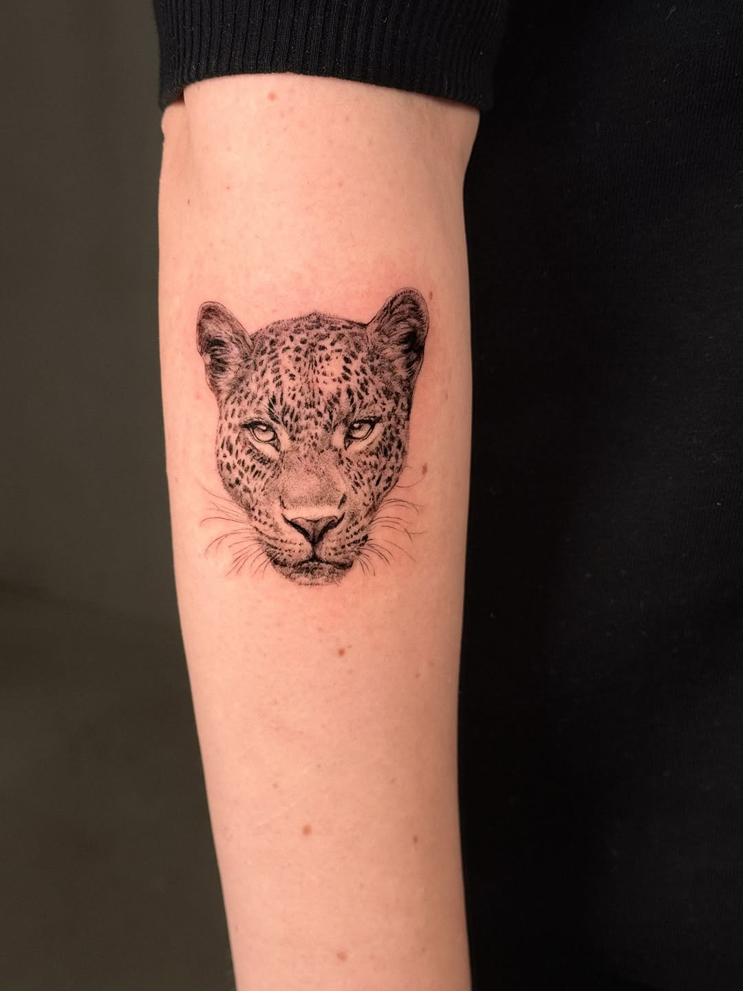 Animal