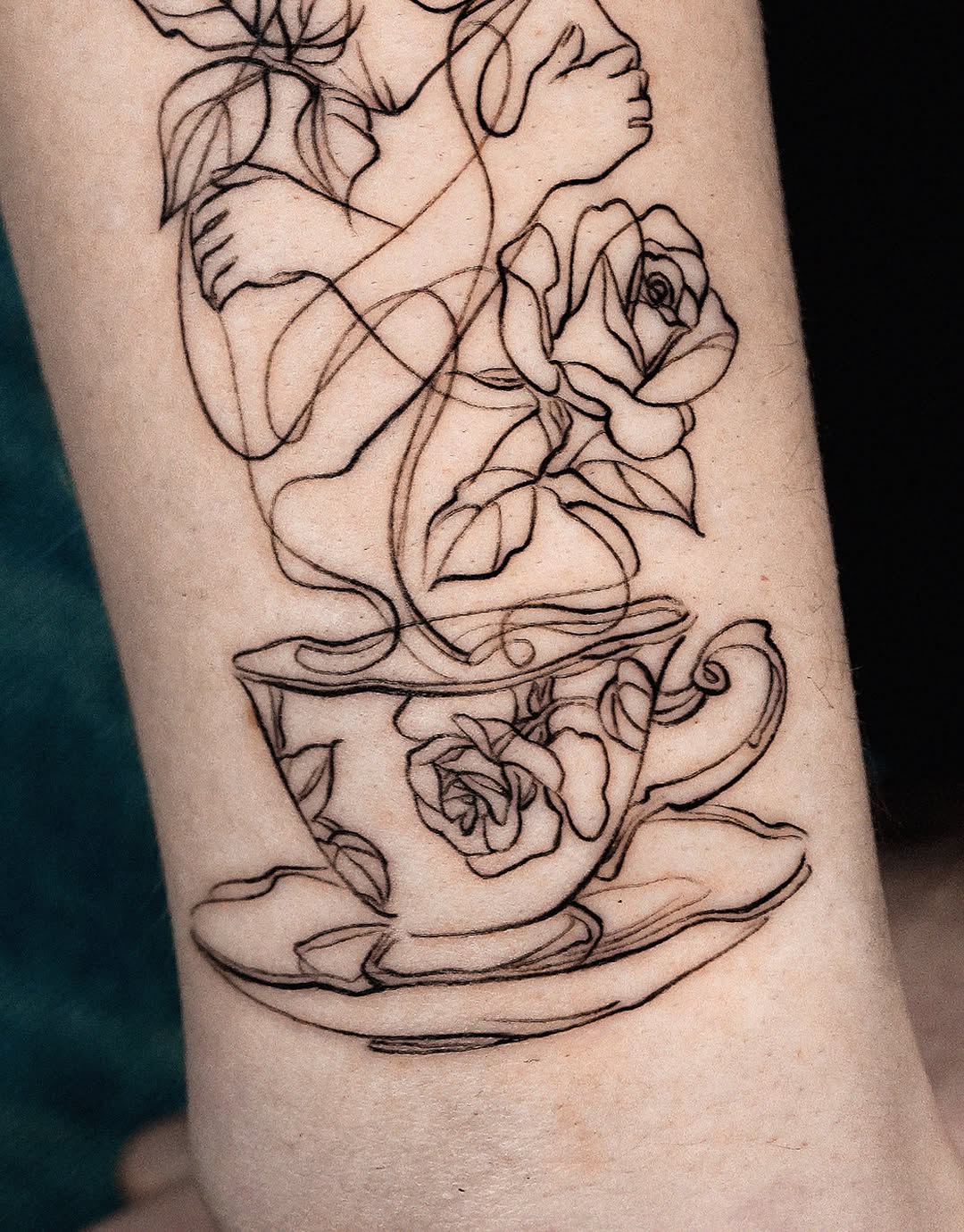 Flower, Rose