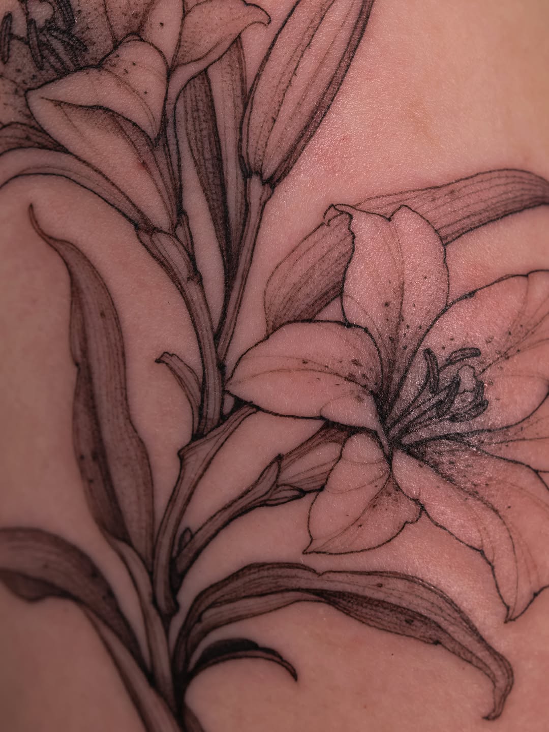 Flower, 백합