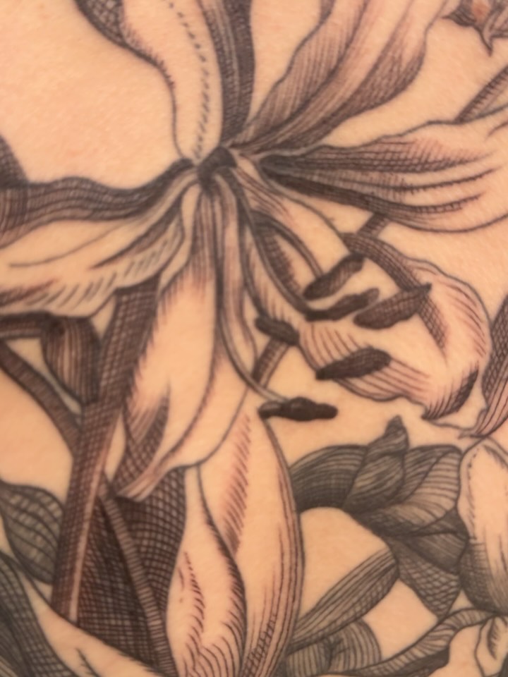 Flower