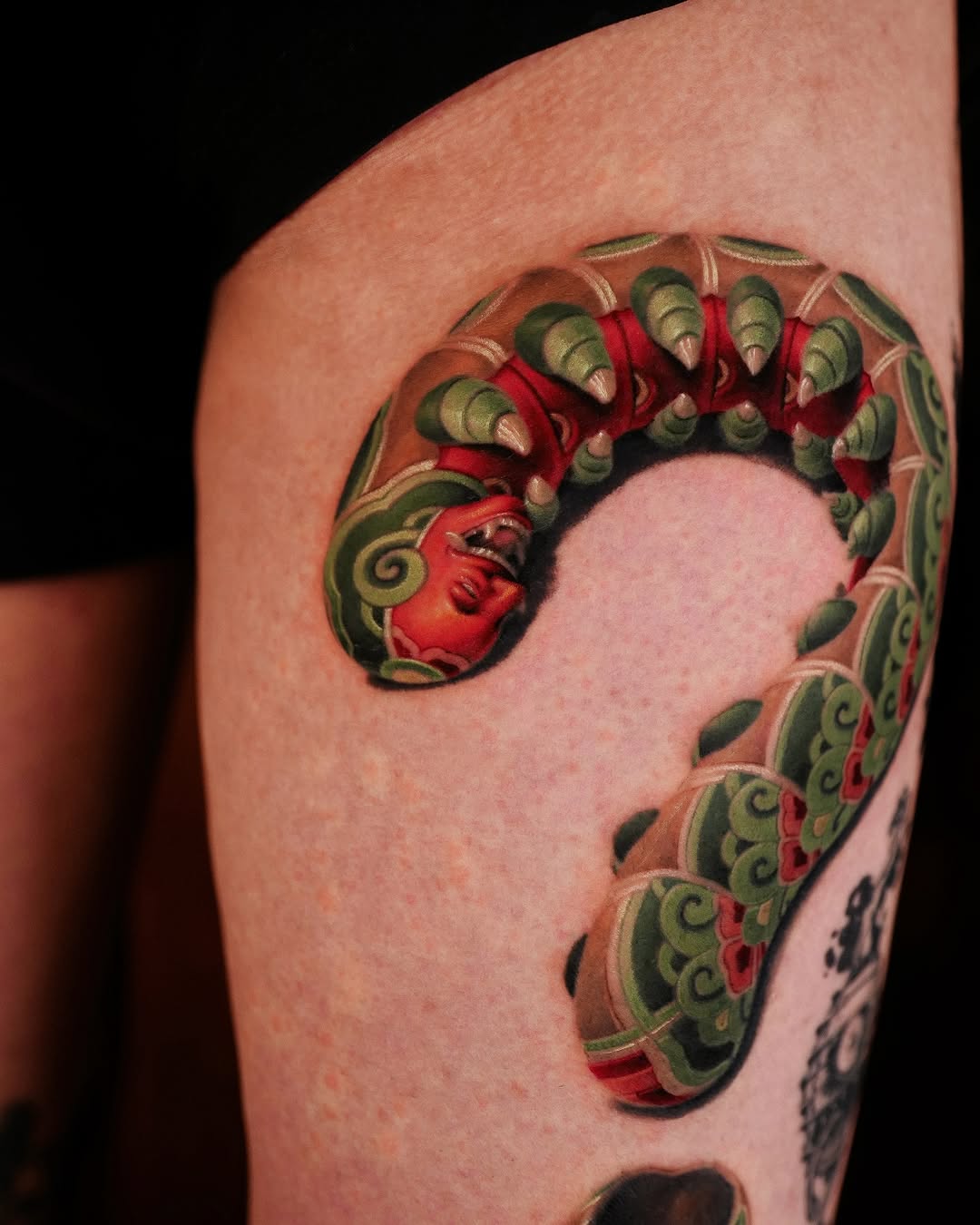 Snake, Animal