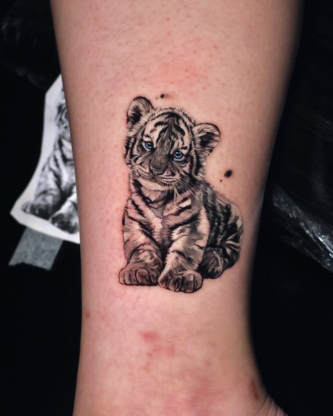 Tiger, 중국 호랑이