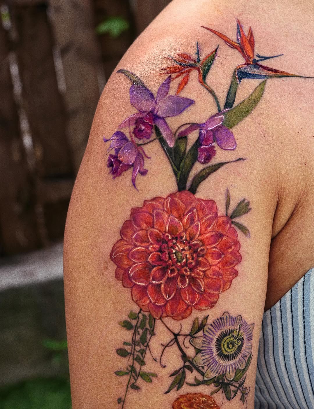 Flower, Rose