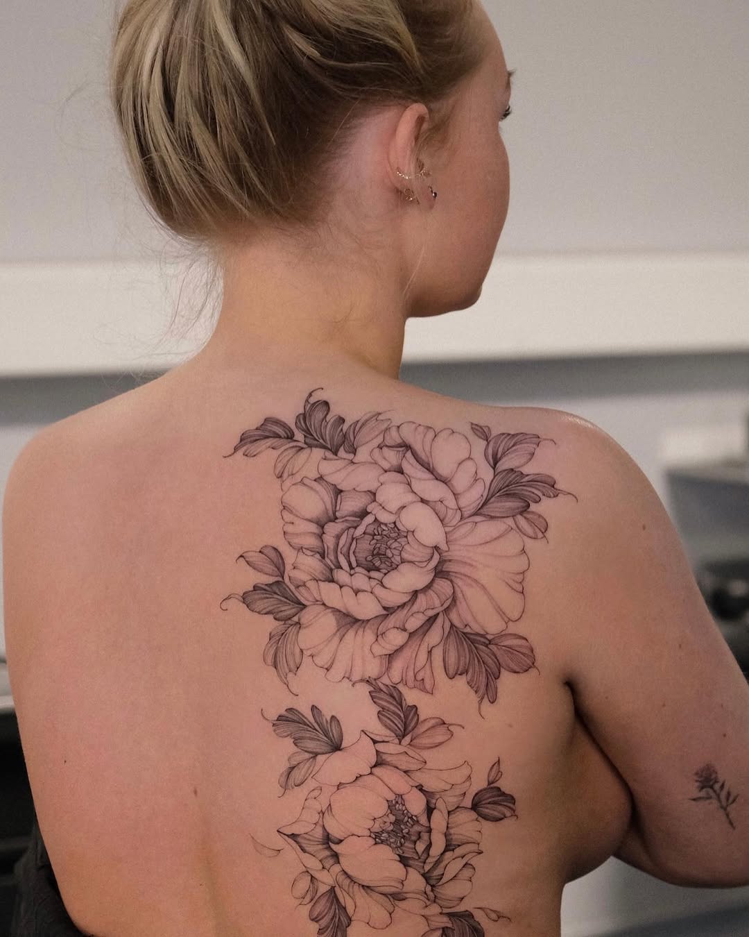 Flower, Rose, Nature