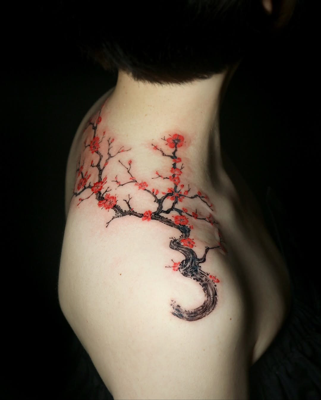 Flower, Nature, 일본 단풍, 벚꽃