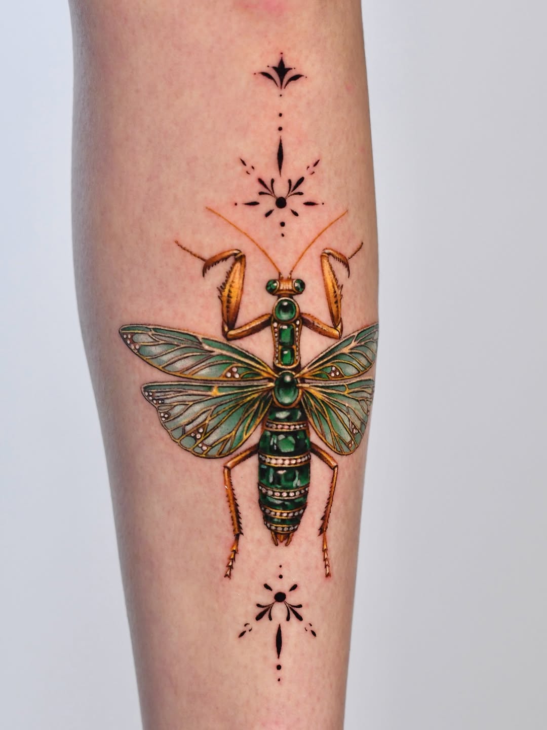Daniel Mizrahi  |  Tattoo Artist