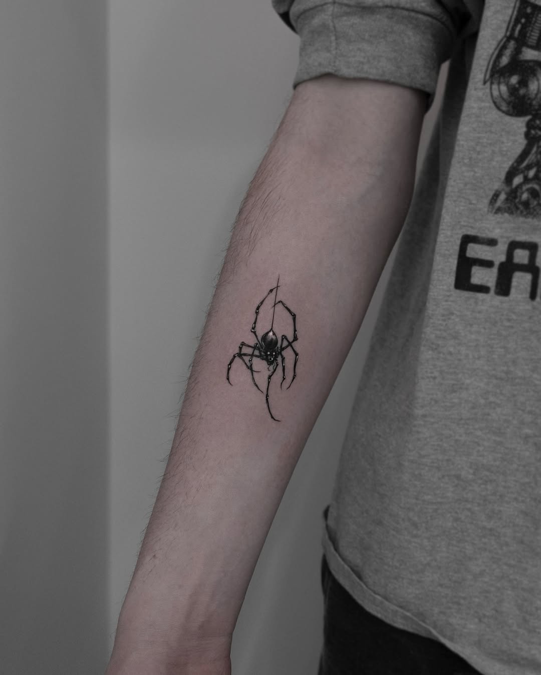 Animal, 거미