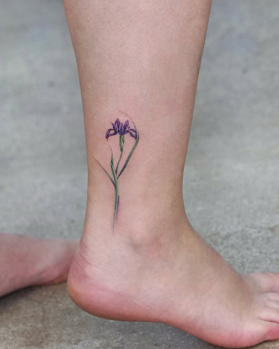 Flower, 백합, 튤립, 라벤더, 수선화, 아이리스, 야생화