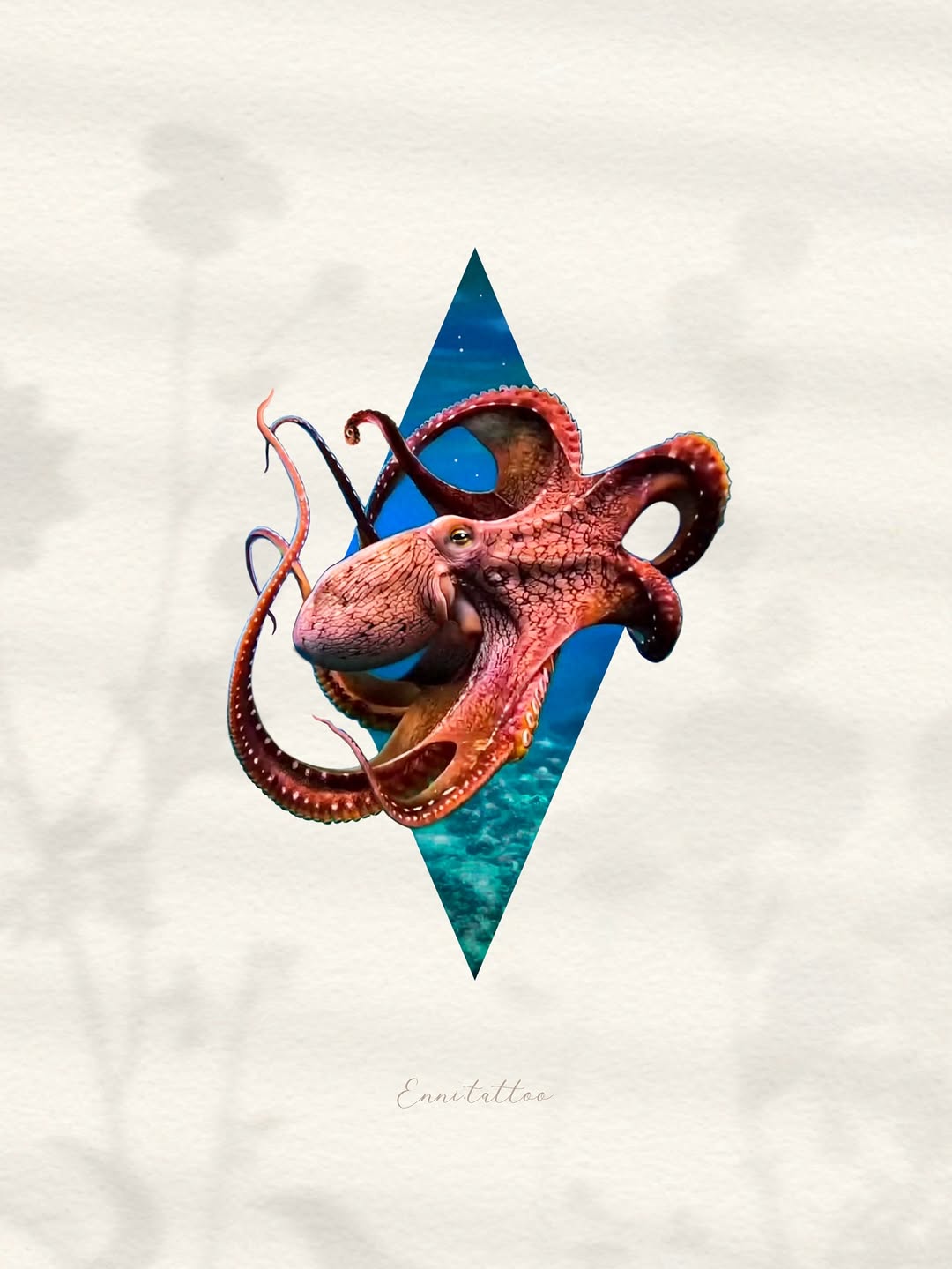 Nature, Animal