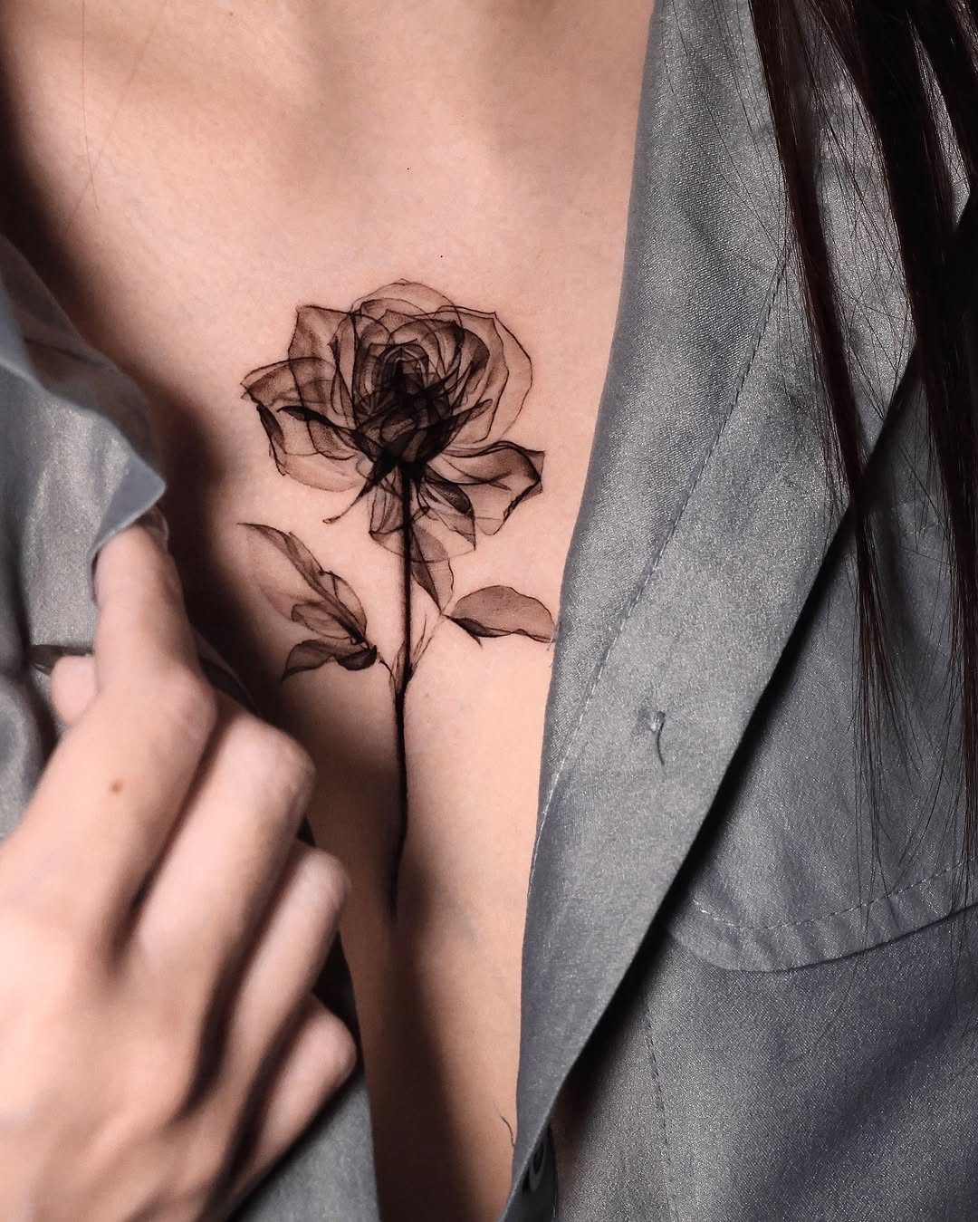 Flower, Rose, Nature