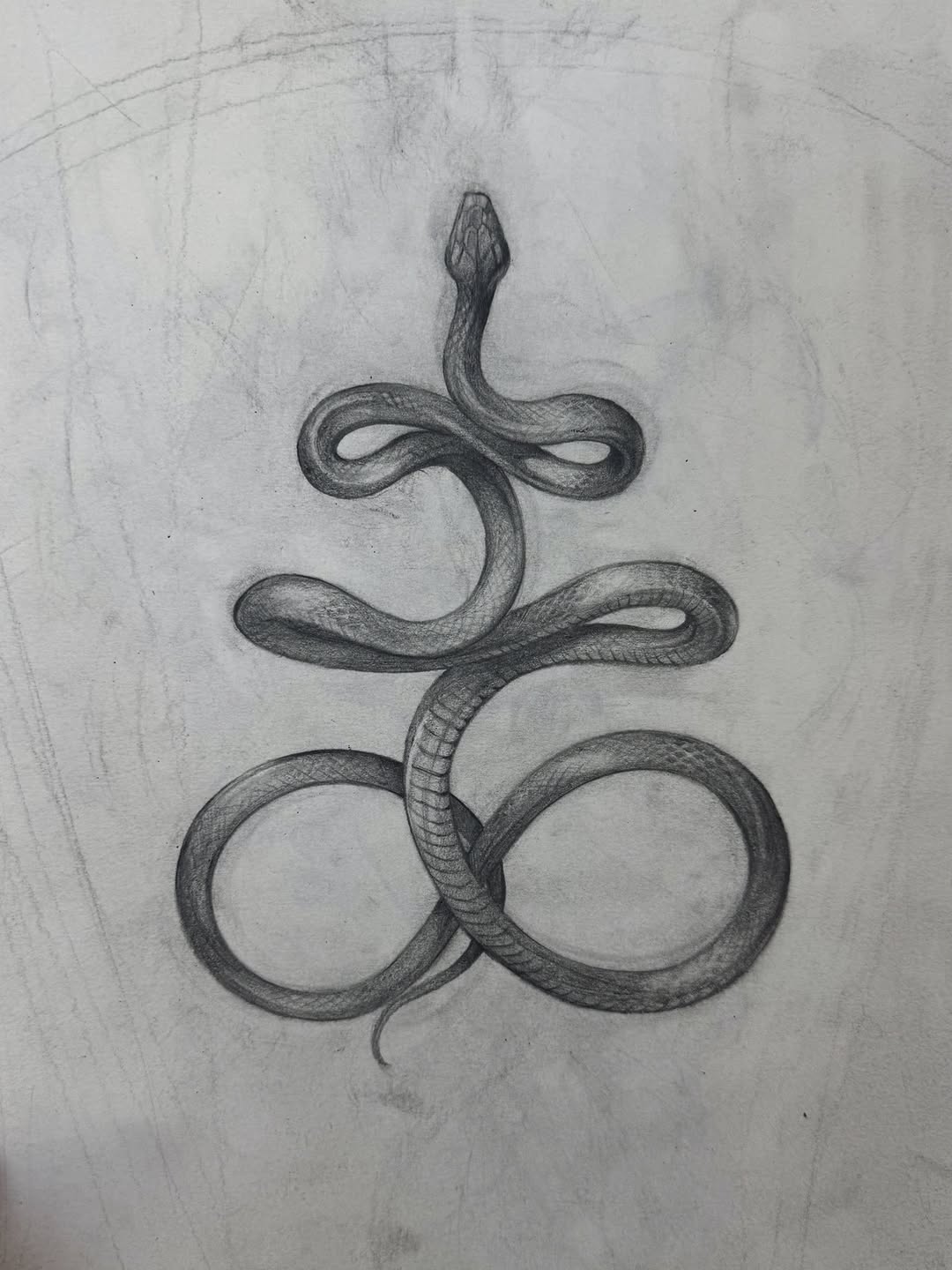 Snake, Dragon