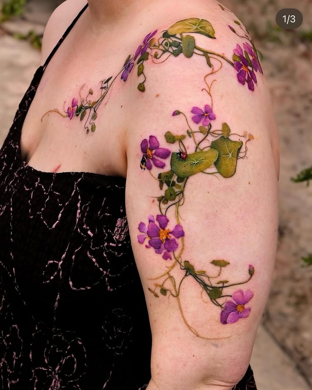 Flower, Nature
