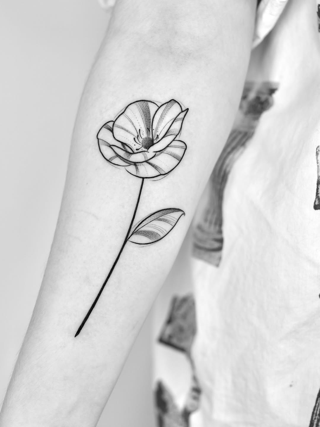 Flower, Rose