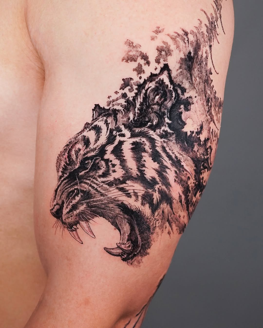 Tiger, 중국 호랑이