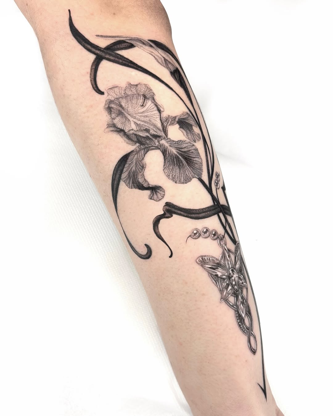 Flower, Nature, Rose