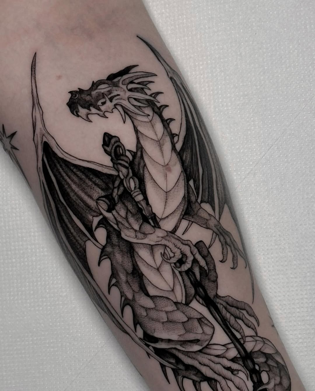 Dragon, 드래곤 라이더