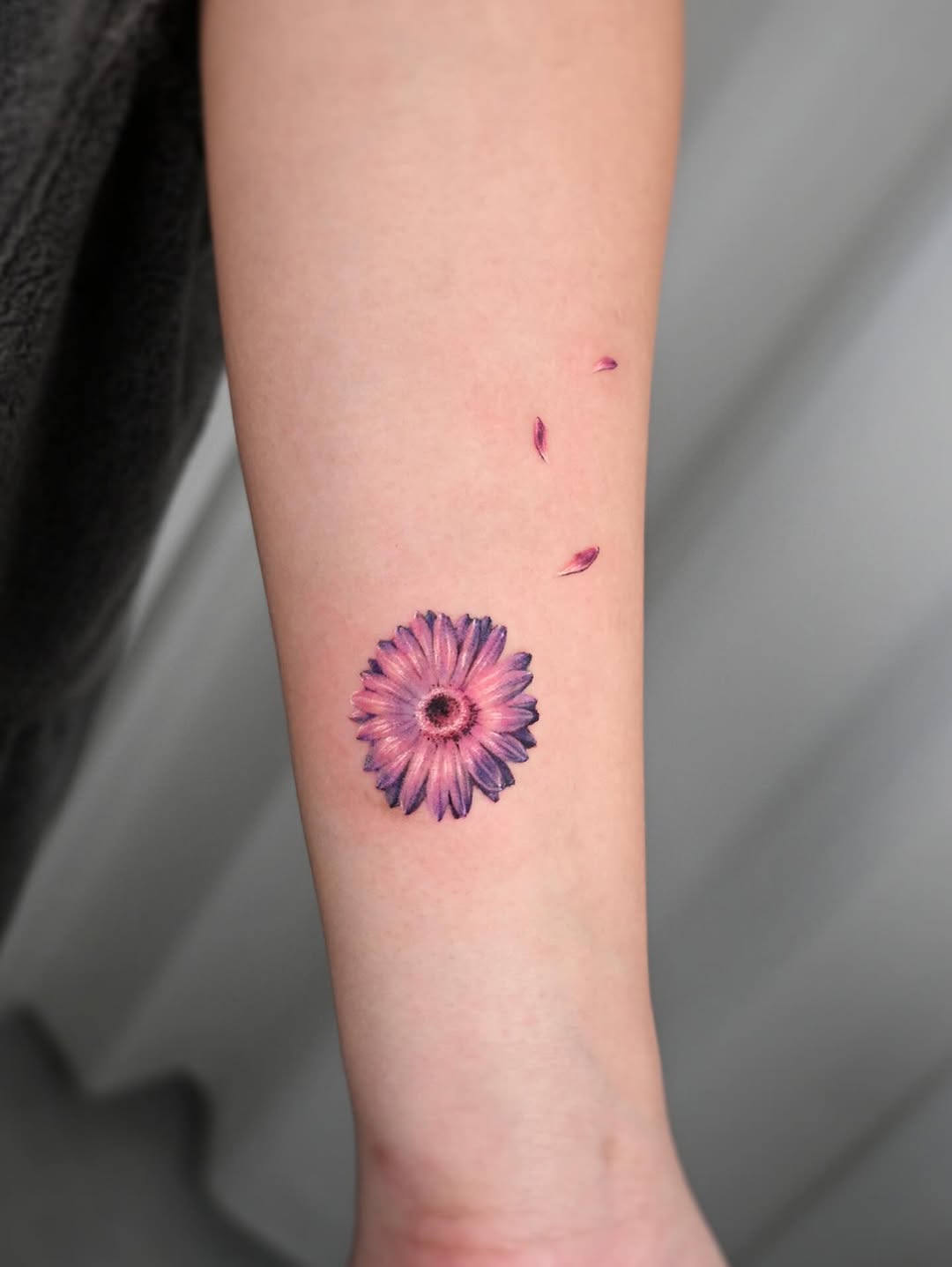 Flower, 데이지, 해바라기, 국화