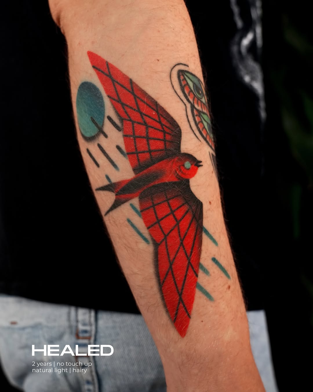 DARIA STAHP | COLOR TATTOO ARTIST