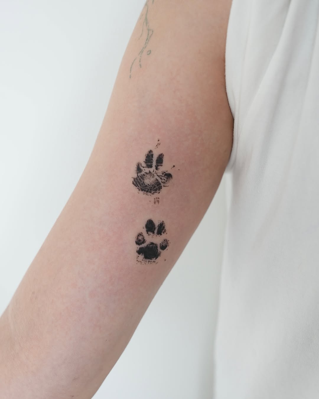 Animal, 발자국