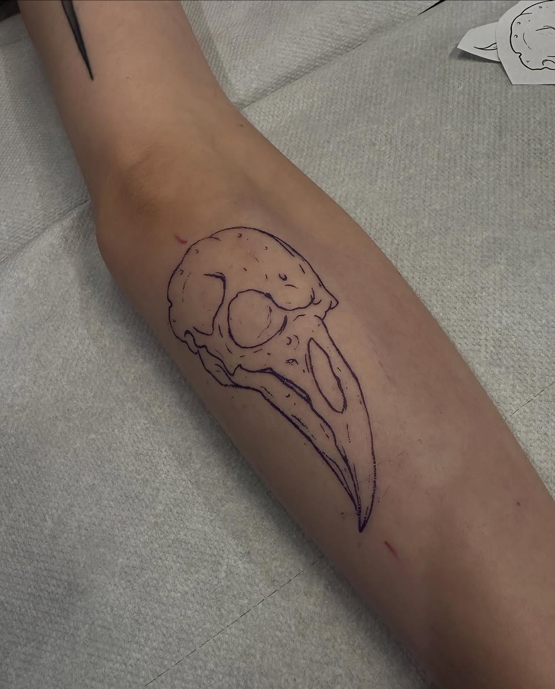 sve.tattoo