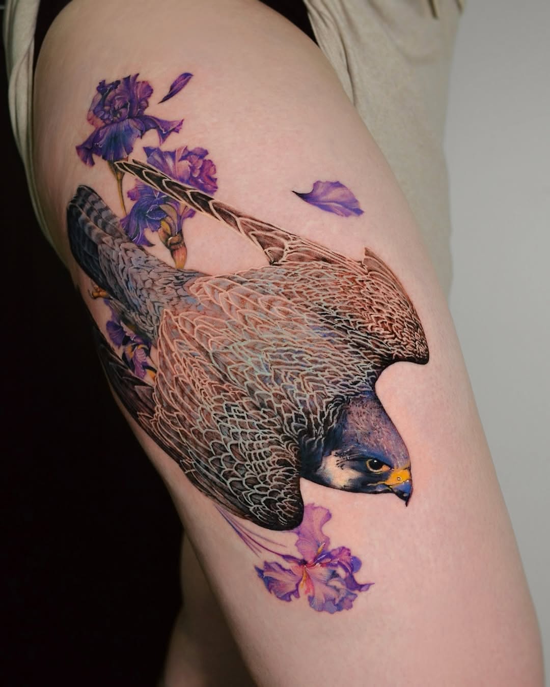 Animal, 공작