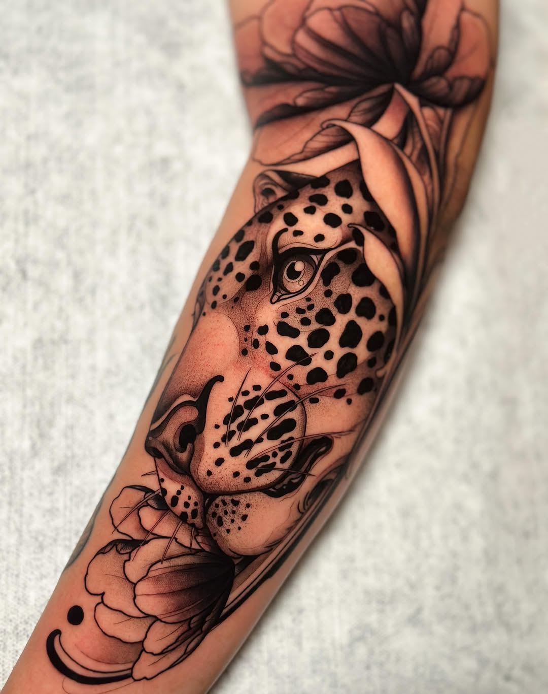 Tiger, Animal