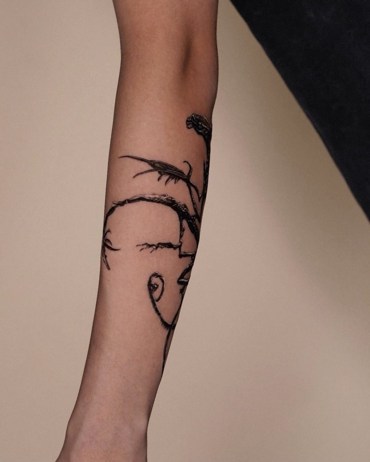 Dragon