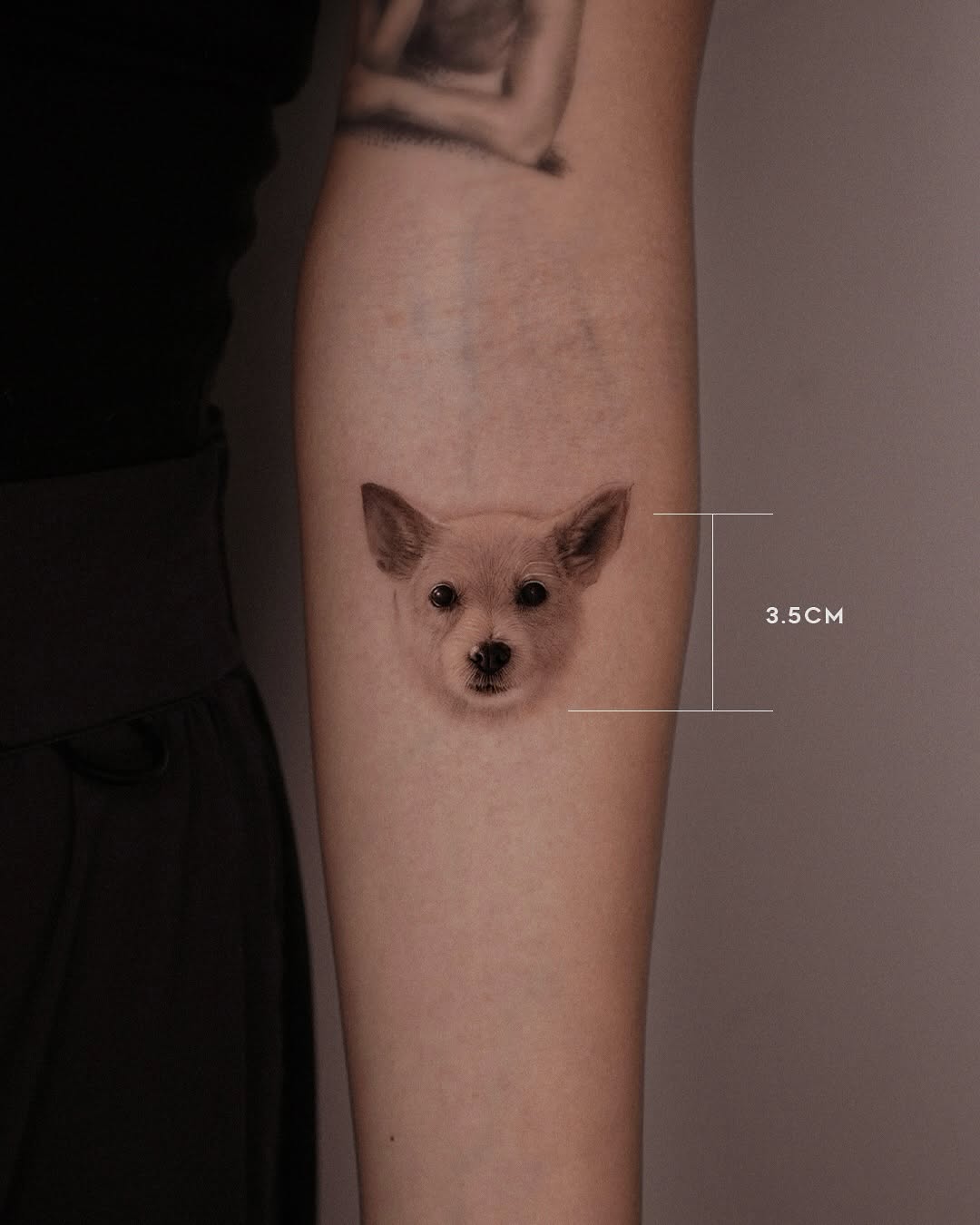 반려동물