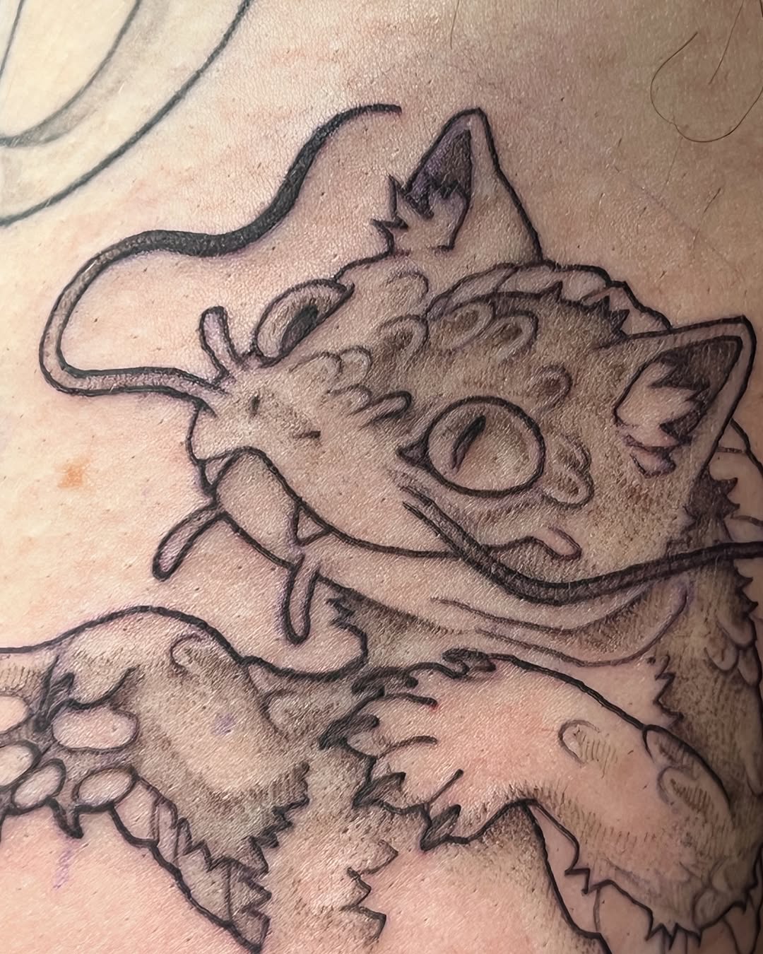 urchinbite