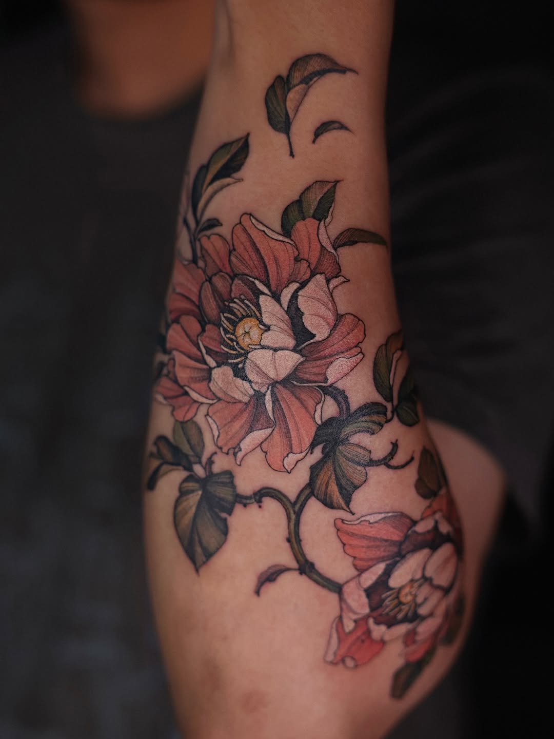 Flower, Rose