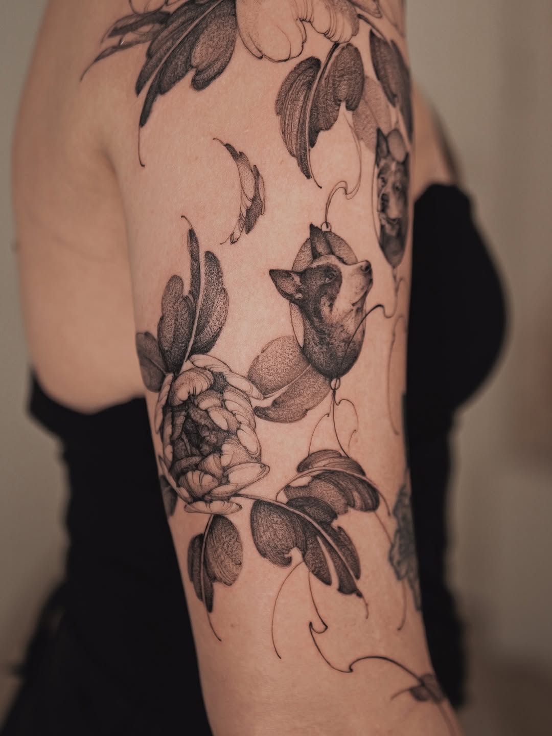 Flower, Rose, Nature