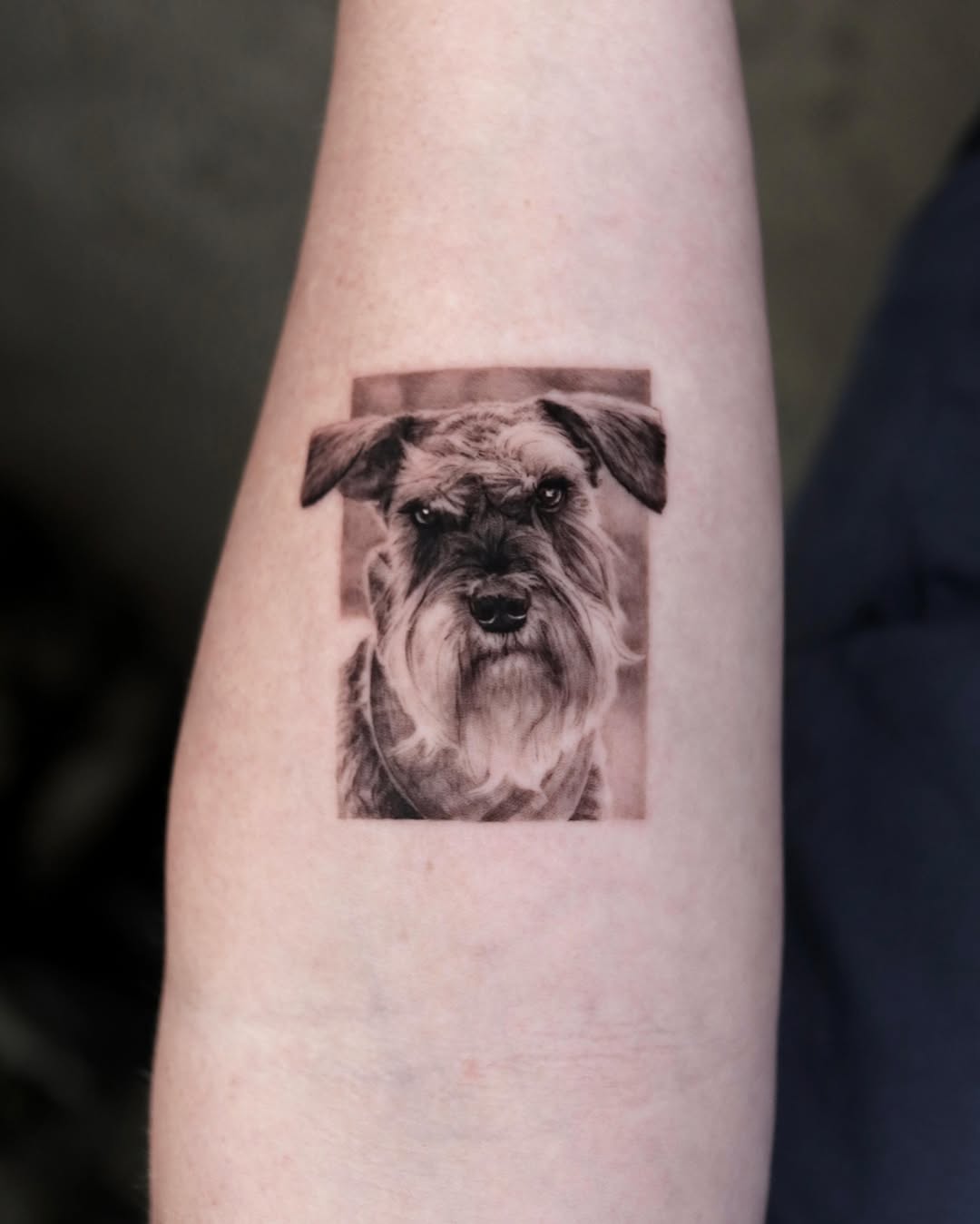 LA Tattoo Yeono