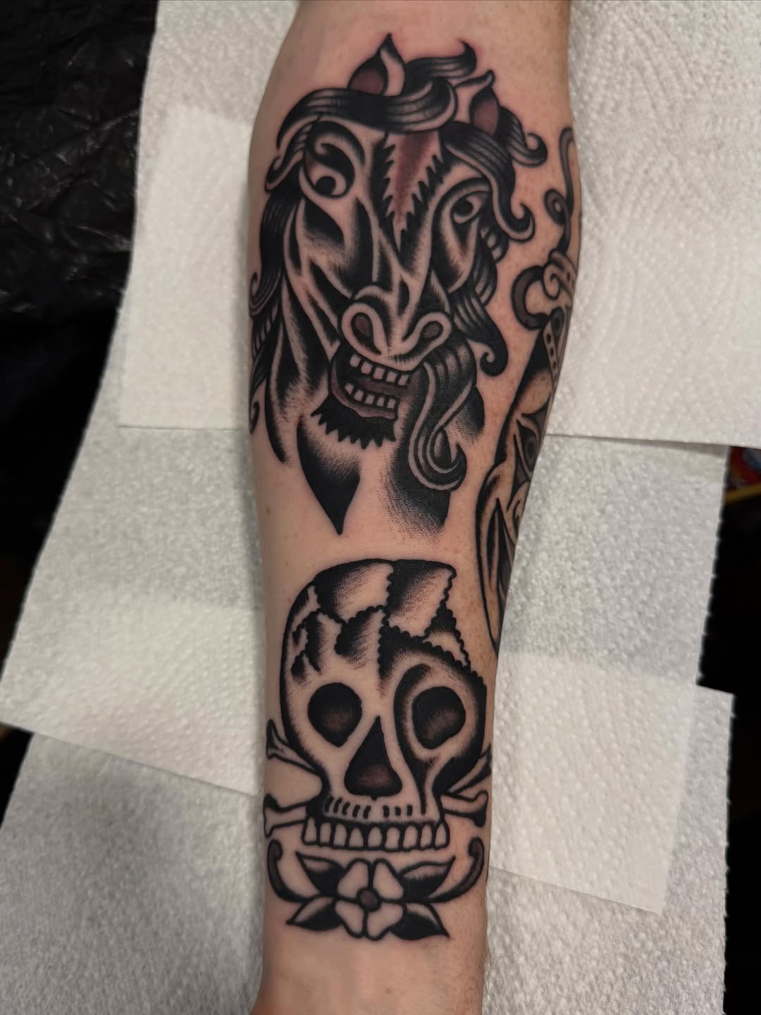 Animal, Skull