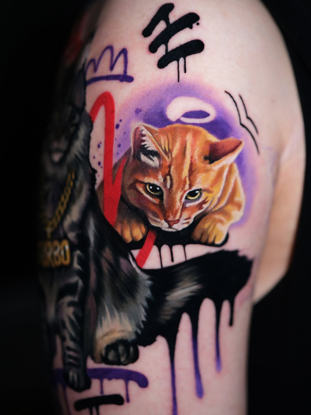 Animal
