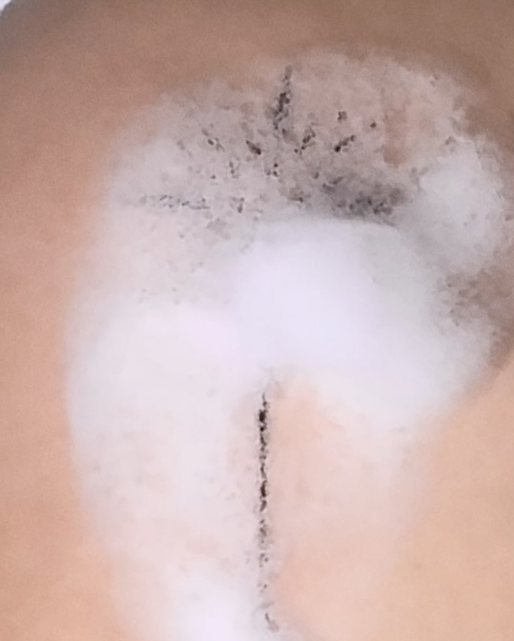 wenjie_tattoo