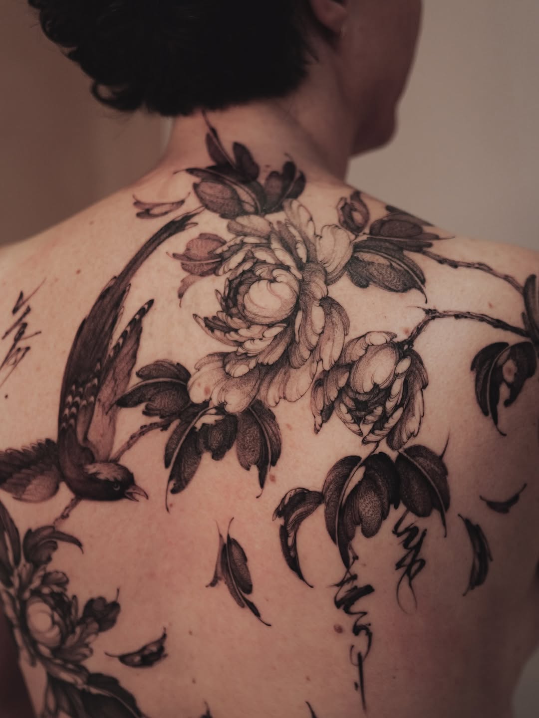 Flower, Nature, Rose