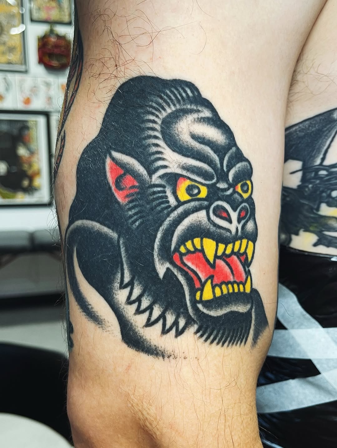 darius_cappelli