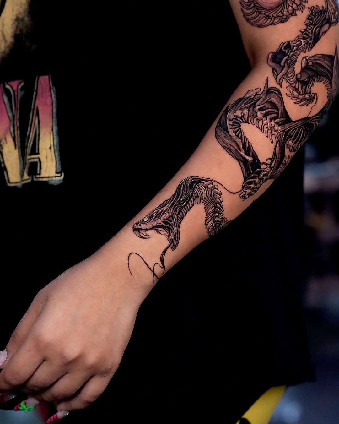 Dragon