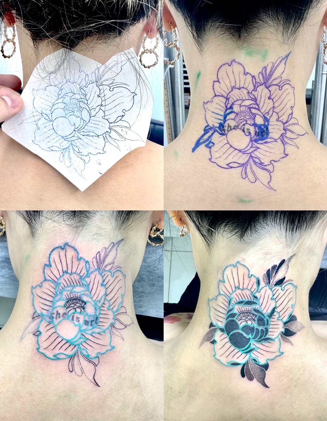 Flower, Rose, Nature