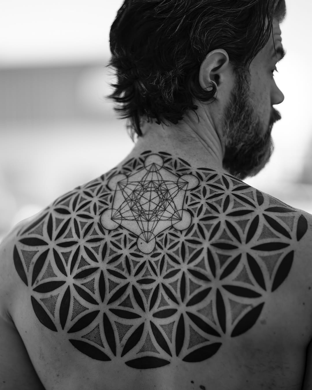 dillonforte