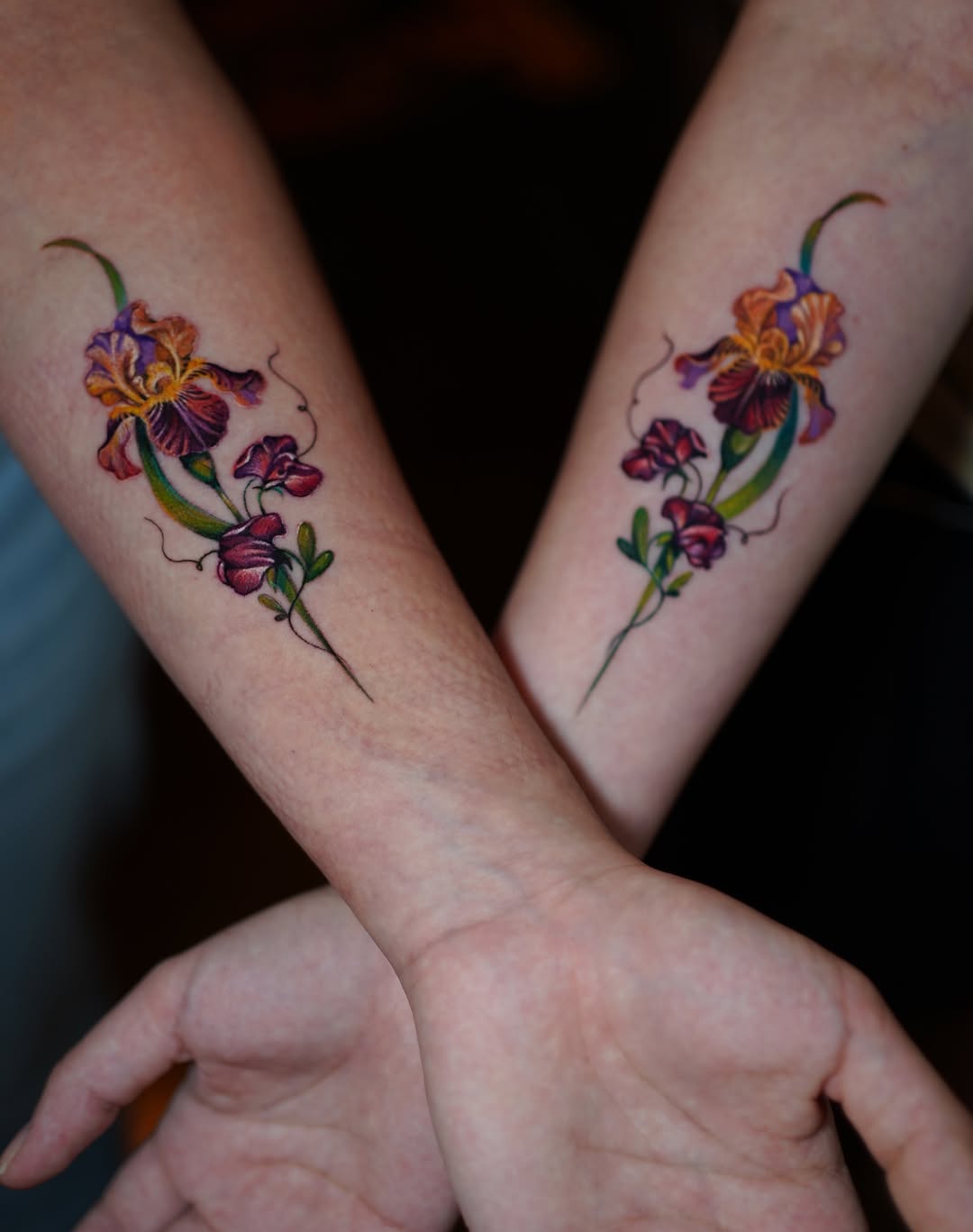 Flower, 아이리스, 난초