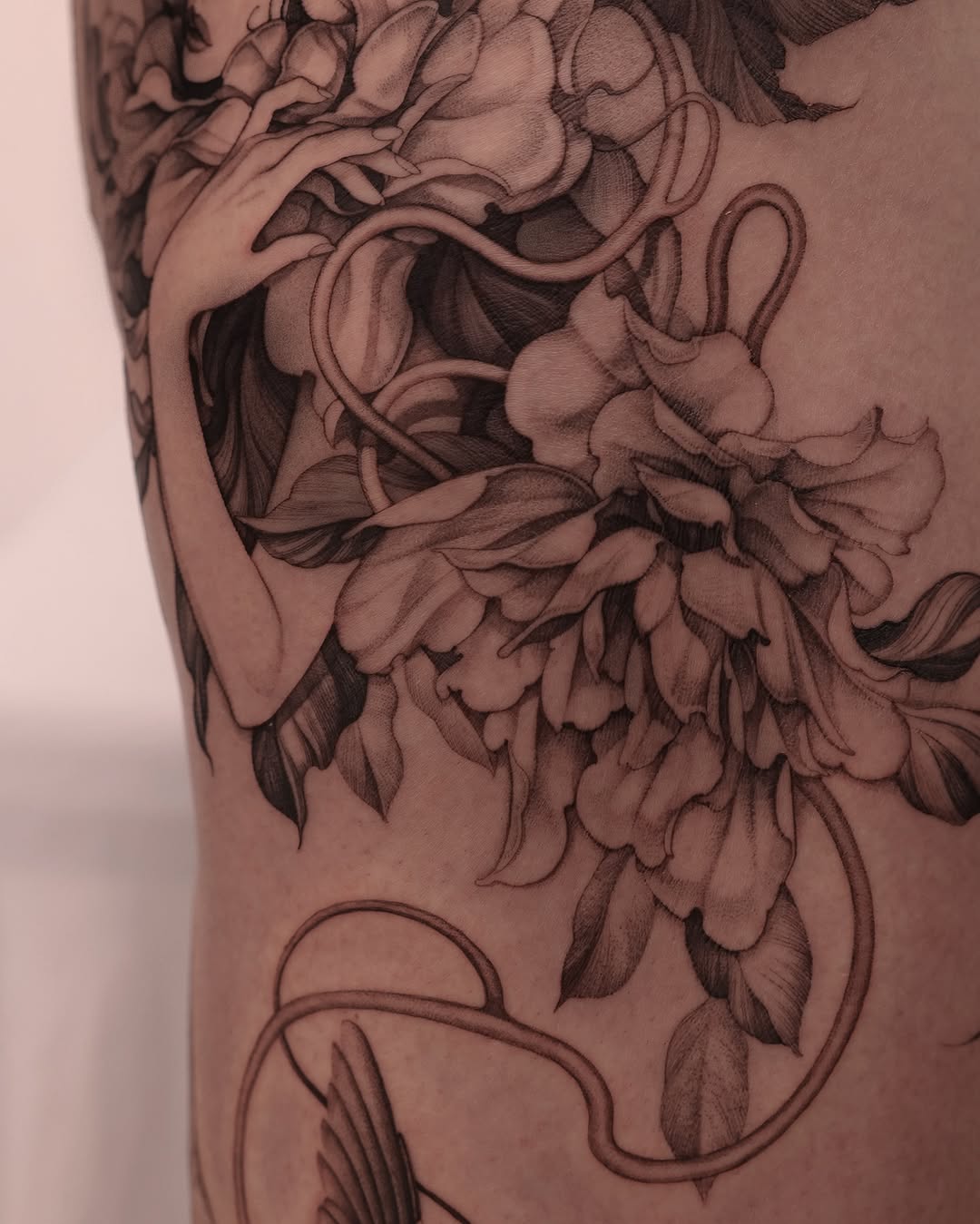 시안 • sian