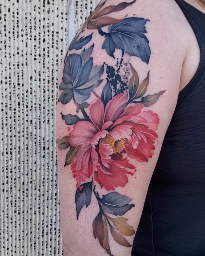 Flower, Rose, Nature